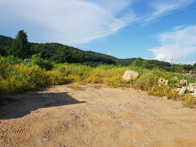 20190809_171411.jpg