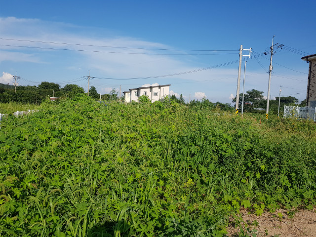20190809_171442.jpg