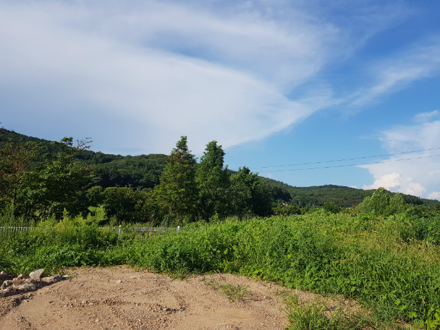 20190809_171506.jpg