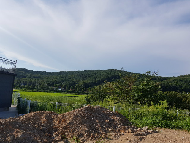 20190809_171508.jpg