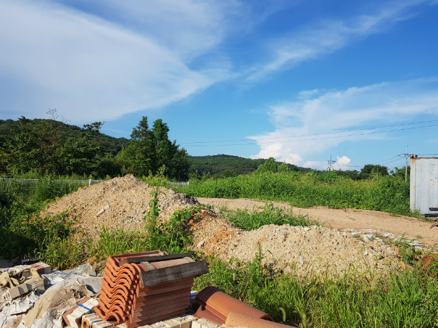 20190809_171536.jpg