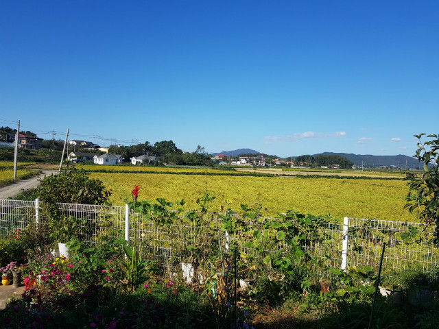 20190923_155530.jpg